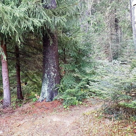 Chalet Taffski Borovets Ngoại thất bức ảnh