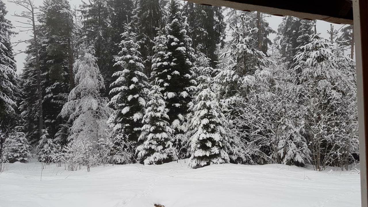 Chalet Taffski Borovets Ngoại thất bức ảnh