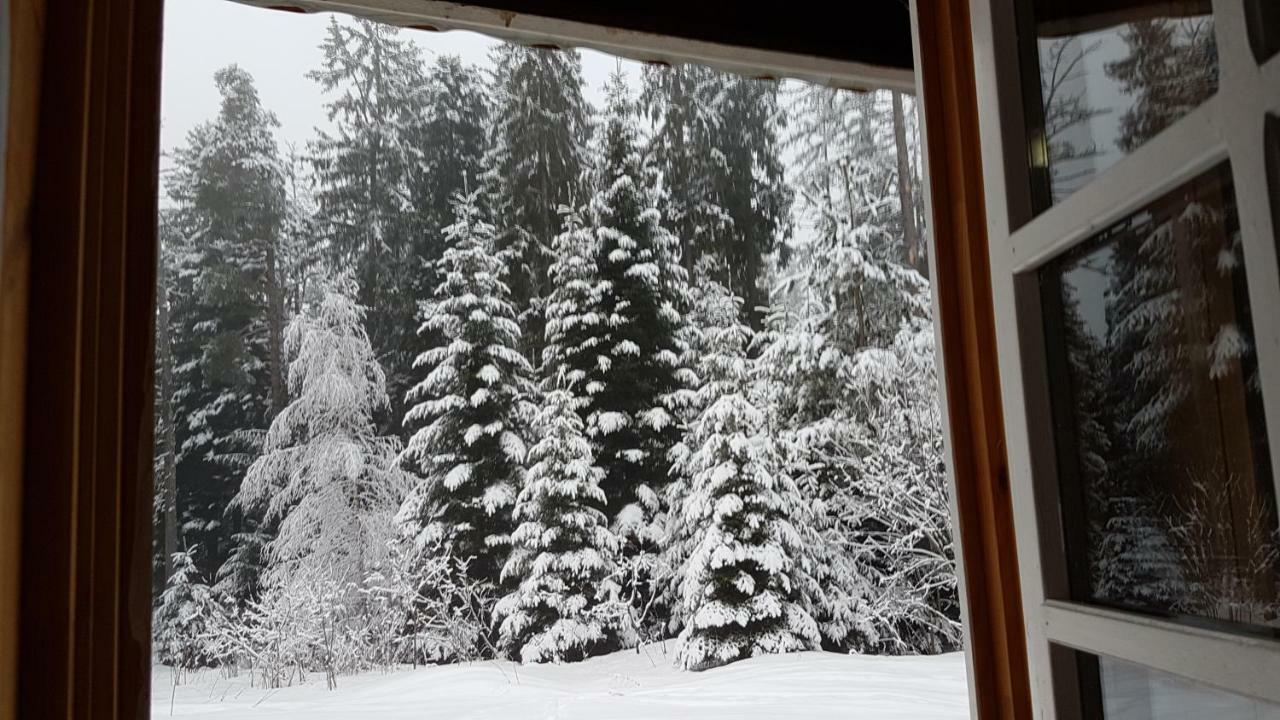 Chalet Taffski Borovets Ngoại thất bức ảnh